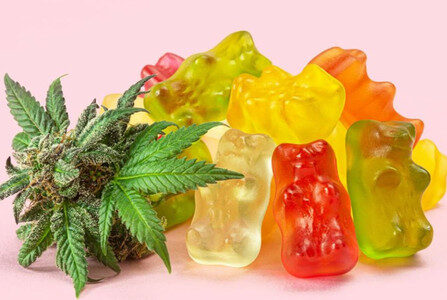 Bio Wellness CBD Gummies